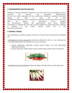 3. REQUERIMIENTOS EDAFOCLIMÁTICOS  
Prefiere los climas templados, teniendo en cuenta que hay que proteger al cultivo 
durant