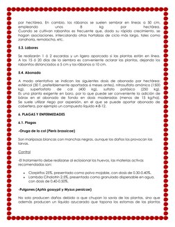 por hectárea. En cambio, los rábanos se suelen sembrar en líneas a 50 cm, 
empleando 
unos 
8 
kg 
por 
hectárea. 
Cuando se