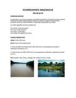 ECORREGIONES AMAZONICAS
SELVA ALTA
GENERALIDADES
La Selva Alta es una de las ecorregiones más biodiversas del Perú. Se extien