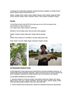 Los bosques de la Selva Baja comprenden variadas formaciones vegetales, con árboles de gran 
tamaño. Algunas especies represe