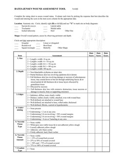 Bates-Jensen Wound Assessment Guide | PDF | Skin | Edema