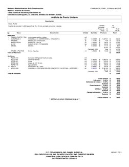 Maestría Administración de la Construcción:
Materia: Análisis de Costos.
Tarea: Costo de insumos para castillo de
concreto f´