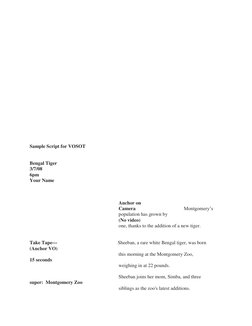 TV News Story Format Examples | PDF | Voice Over | Mass Media
