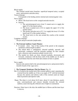 - 10 - 
Blood supply: 
The external carotid artery branches: superficial temporal artery, occipital 
artery, and posterio