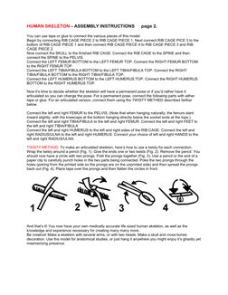 12 ft Skeleton Assembly Guide | PDF | Skeleton | Skeletal System