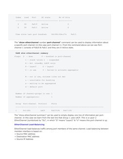 Index   Load   Port     EC state        No of bits   
 ------+------+------+------------------ +-----------  
   0     00