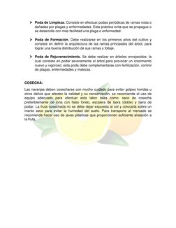  Poda de Limpieza. Consiste en efectuar podas periódicas de ramas rotas o 
dañadas por plagas y enfermedades. Esta práct