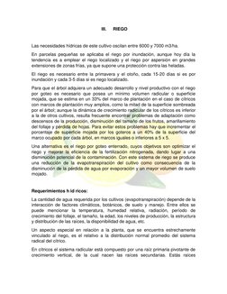 III. 
RIEGO 
 
Las necesidades hídricas de este cultivo oscilan entre 6000 y 7000 m3/ha. 
En parcelas pequeñas se aplicab