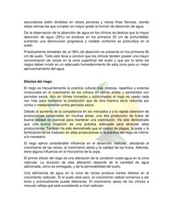secundarias están divididas en raíces pioneras y raíces finas fibrosas, siendo 
estas últimas las que cumplen en mayor gr