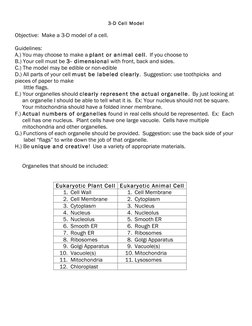 3-D Cell Model 
 
Objective:  Make a 3-D model of a cell. 
 
Guidelines: 
A.) You may choose to make a plant or animal cell