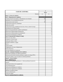 Semanas
1
2
Etapa I - Técnica de Auditoría
Fase I - Planeación de la Auditoría
Actualización del Conocimiento y Entendimiento