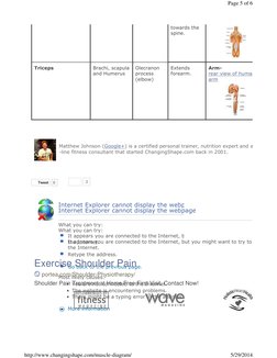 towards the 
spine. 
Triceps
Brachi, scapula 
and Humerus
Olecranon 
process 
(elbow)
Extends 
forearm.
Arm-  
rear view of h