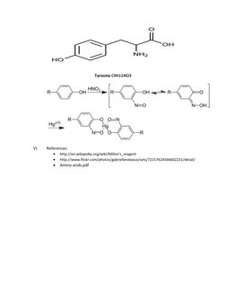 Tyrosine C9H11NO3 
 
 
 
VI. 
References: 
 
http://en.wikipedia.org/wiki/Millon's_reagent 
 
http://www.flickr.com/p