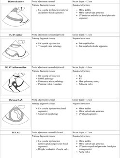 Tg Rv Inflow View Tee Standard TEE Imaging Views Guide | PDF | Heart Valve | Ventricle (Heart)