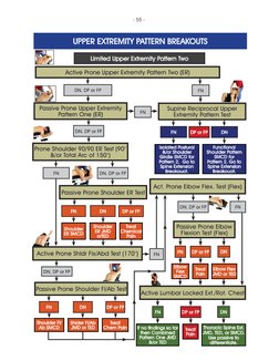 SFMA Assessment Scoring Guide | PDF | Anatomical Terms Of Motion ...