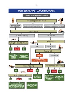 SFMA Assessment Scoring Guide | PDF | Anatomical Terms Of Motion ...