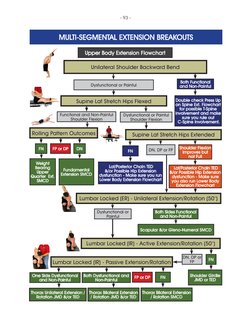 SFMA Assessment Scoring Guide | PDF | Anatomical Terms Of Motion ...