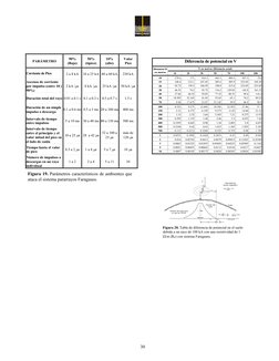 30
Sy st e m
R
PARÁMETRO
90%
(Bajo)
50%
(típico)