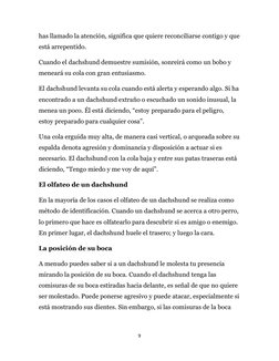 9 
 
has llamado la atención, significa que quiere reconciliarse contigo y que 
está arrepentido. 
Cuando el dachshund demues
