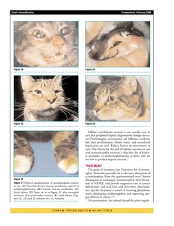 C+F-Acetaminophen Toxicity in Cats and Dogs | PDF | Glutathione