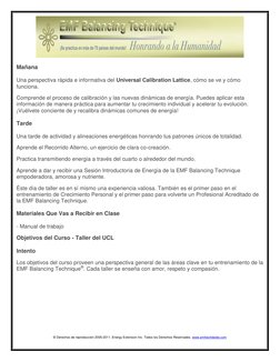 © Derechos de reproducción 2005-2011. Energy Extension Inc. Todos los Derechos Reservados. www.emfworldwide.com 
 
Mañana