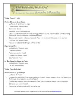 © Derechos de reproducción 2005-2011. Energy Extension Inc. Todos los Derechos Reservados. www.emfworldwide.com 
 
Taller