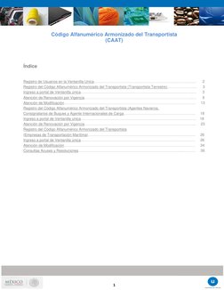 Manual de Registro y Renovación CAAT | PDF | Point and Click | Formato ...