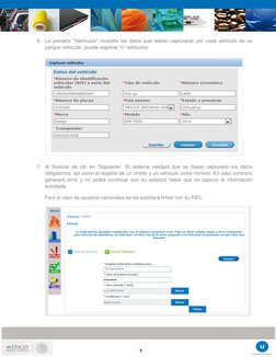Manual de Registro y Renovación CAAT | PDF | Point and Click | Formato ...