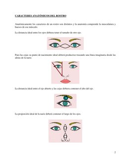 2 
 
 
CARACTERES ANATÓMICOS DEL ROSTRO 
 
 
Anatómicamente los caracteres de un rostro son distintos y la anatomía compre
