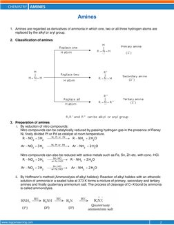 Understanding Amines: Properties & Reactions | PDF | Amine | Ammonium