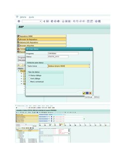 Creación de un Pool de Módulos en SAP | PDF | Informática