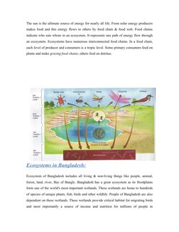 The sun is the ultimate source of energy for nearly all life. From solar energy producers 
makes food and this energy flows t