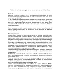Práctica. Oxidación de azufre y de ion ferroso por bacterias quimiolitotróficas.
Hipótesis
Dado que  Thiobacillus thiooxidans