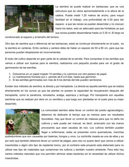 La siembra se puede realizar en barbacoas; que es una
estructura que se ubica aproximadamente a la altura de la
cadera. Puede