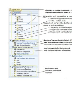 Navigating SAP ST03/ST03N Workload Monitor | PDF | Database Transaction ...