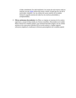el lado contralateral. En cada mielómero, los axones de estos tractos están en
relación con una célula  (http://www.monografi