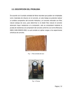 Página | 10  
 
2.3. DESCRIPCIÓN DEL PROBLEMA 
 
De acuerdo con la amplia variedad de fibras naturales que pueden ser emplead