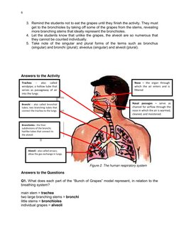 DRAFT 
April 29, 2014
6 
 
 
3. Remind the students not to eat the grapes until they finish the activity. They must 
get to t