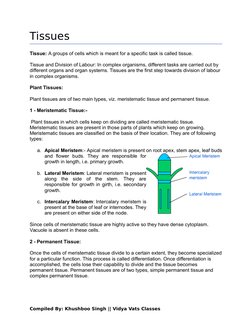 Tissues
Tissue: A groups of cells which is meant for a specific task is called tissue.
Tissue and Division of Labour: In comp
