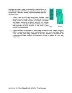 Complex permanent tissue is composed of different types of
cells. Complex permanent tissues are of two types, viz. xylem
and