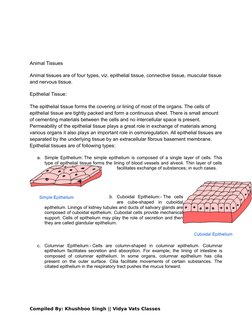 Animal Tissues
Animal tissues are of four types, viz. epithelial tissue, connective tissue, muscular tissue
and nervous tissu