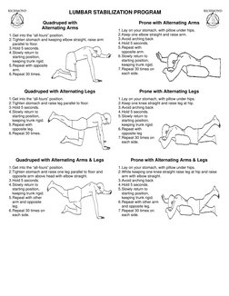 Quadruped with Alternating Legs  
 
1. Get into the “all-fours” position. 
2. Tighten stomach and raise leg parallel to floor