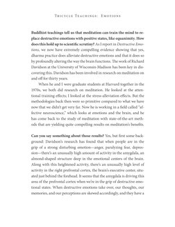 Tr ic ycl e Te ach i ngs:   E mot ions
Buddhist teachings tell us that meditation can train the mind to re­
place destructive