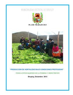PLA DE TRABAJO 2013
“PRODUCCION DE HORTALIZAS BAJO CONDICIONES PROTEGIDAS”　
TODOS JUNTOS SALIENDO DE LA POBRESA Y DESNUTRICIO