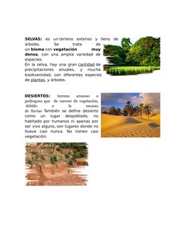 SELVAS:  es  un terreno  extenso  y  lleno  de
árboles.
 
Se
 
trata
 
de
un bioma con vegetación
 
muy
densa,  con  una  amp