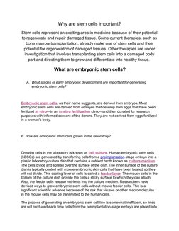 Why are stem cells important?
Stem cells represent an exciting area in medicine because of their potential
to regenerate and