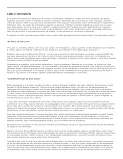 LOS CHANEQUES
En el estado de Guerrero y en especial en el municipio de Teloloapan y alrededores, existen unos seres pequeños