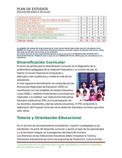Plan de Estudios Primaria 2025 Minedu | PDF | Plan de estudios ...