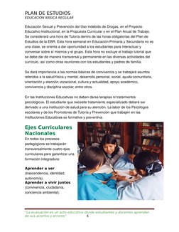 Plan de Estudios Primaria 2025 Minedu | PDF | Plan de estudios ...