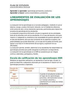 Plan de Estudios Primaria 2025 Minedu | PDF | Plan de estudios ...